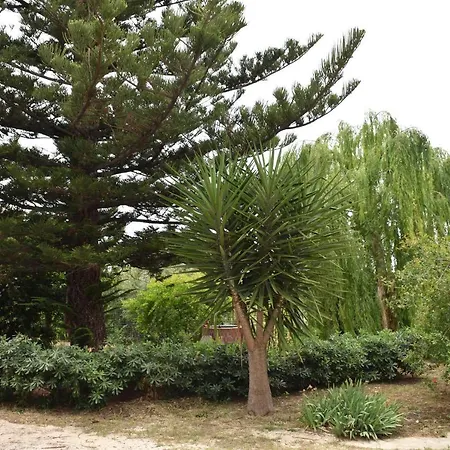 Casa Vacanze Adele *